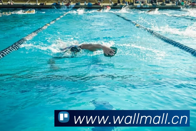 App Interface Preview